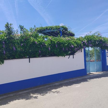 Casa Dos Avos Vila Reguengos de Reguengos de Monsaraz Exterior foto
