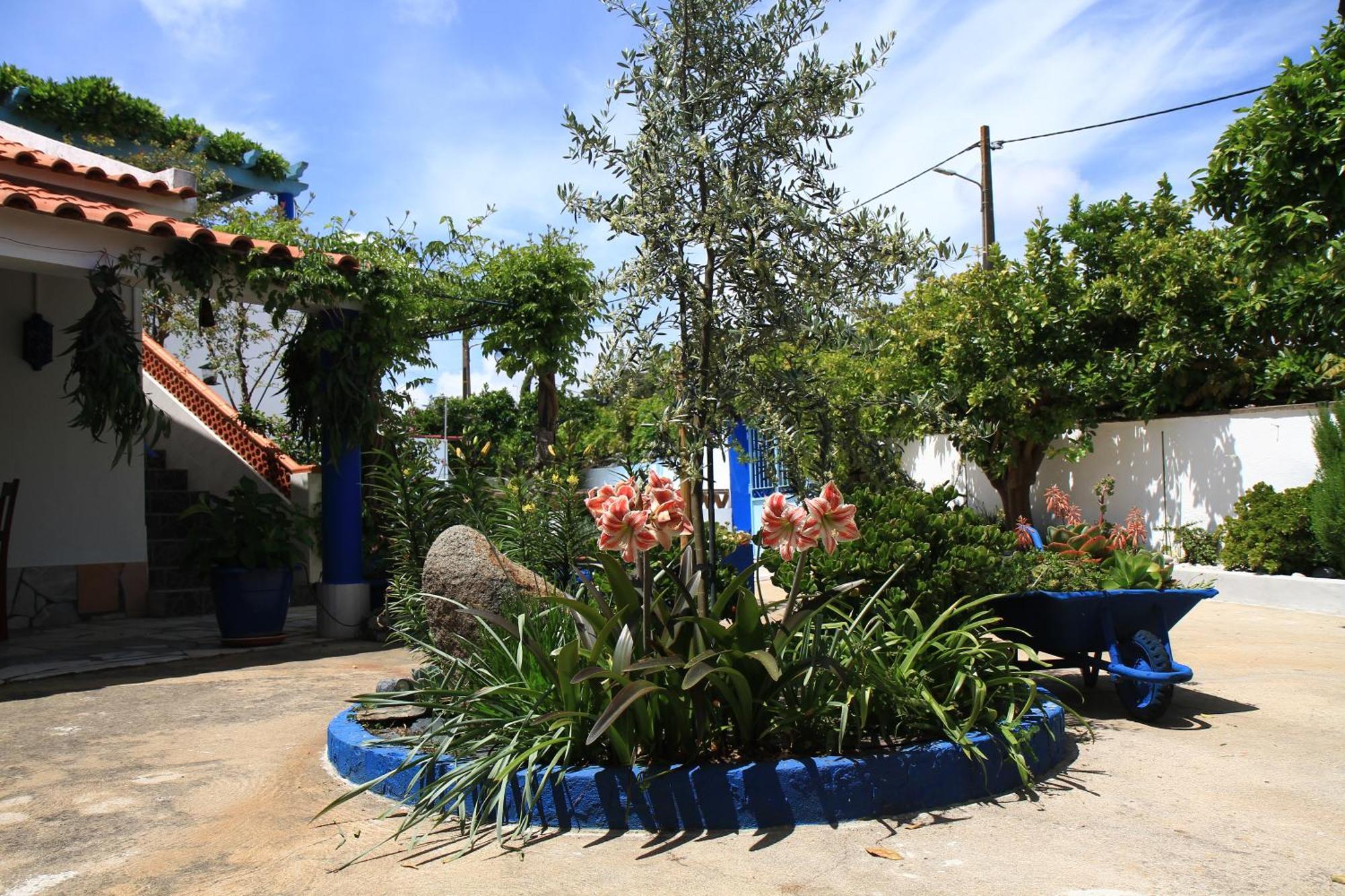 Casa Dos Avos Vila Reguengos de Reguengos de Monsaraz Exterior foto